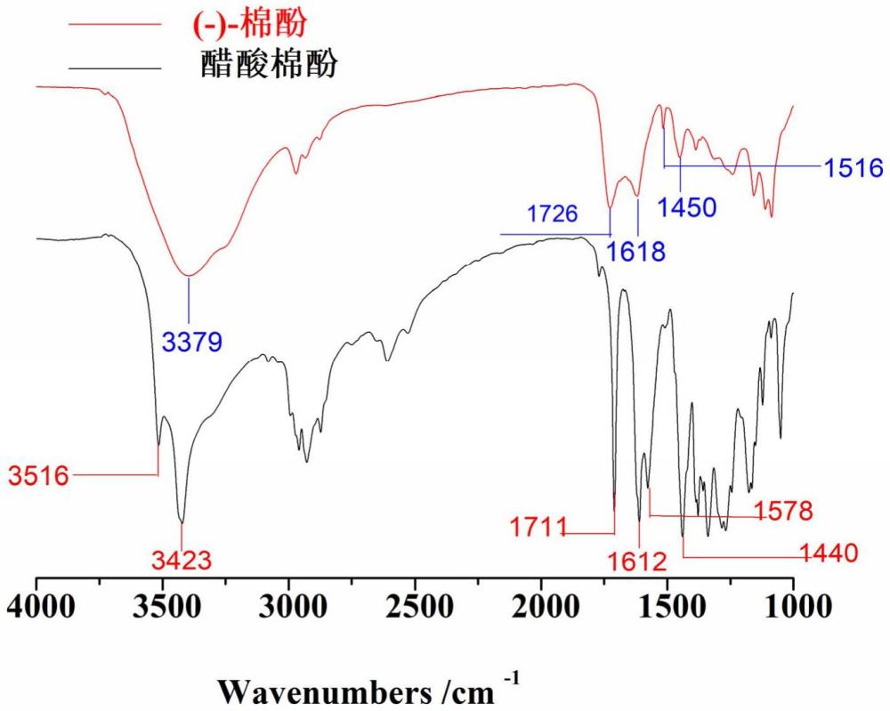 一種(-)-棉酚衍生物及其制備方法和抗氧化劑