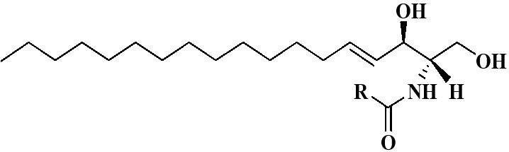 一種組合物及其在促進角質形成細胞增殖中的應用的制作方法