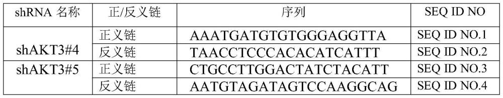 AKT3在頭頸癌診斷和治療中的應(yīng)用