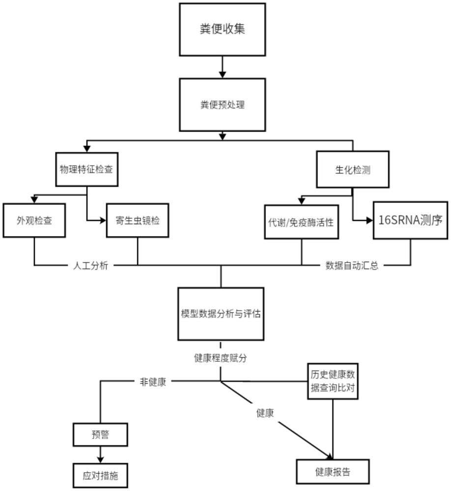 一種非侵入式中華鱘健康狀態預測方法
