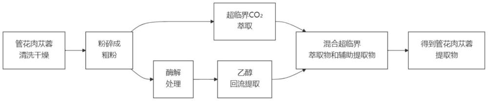 具有抗疲勞作用的飲料的制備方法