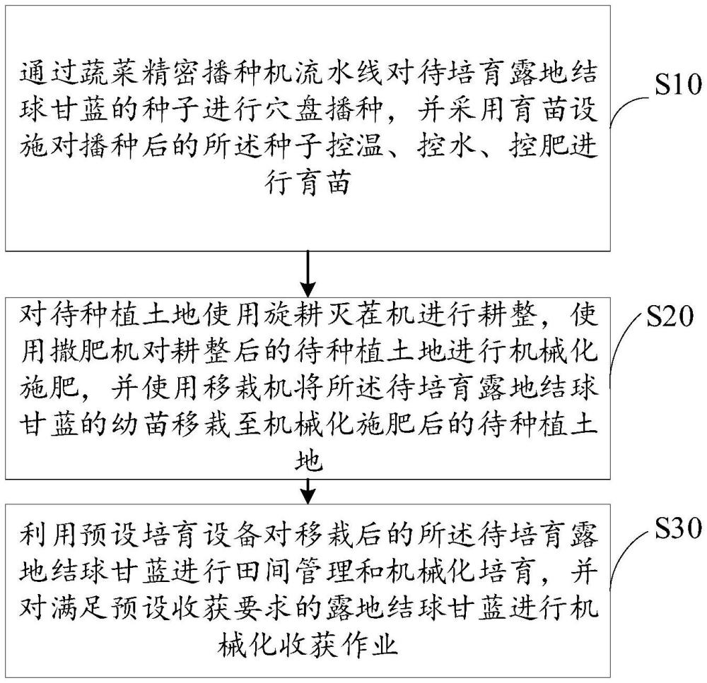 露地結球甘藍機械化培育方法