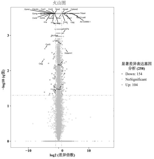 預(yù)測(cè)OX40激動(dòng)劑抗體治療有效性的生物標(biāo)志物及其篩選方法和應(yīng)用