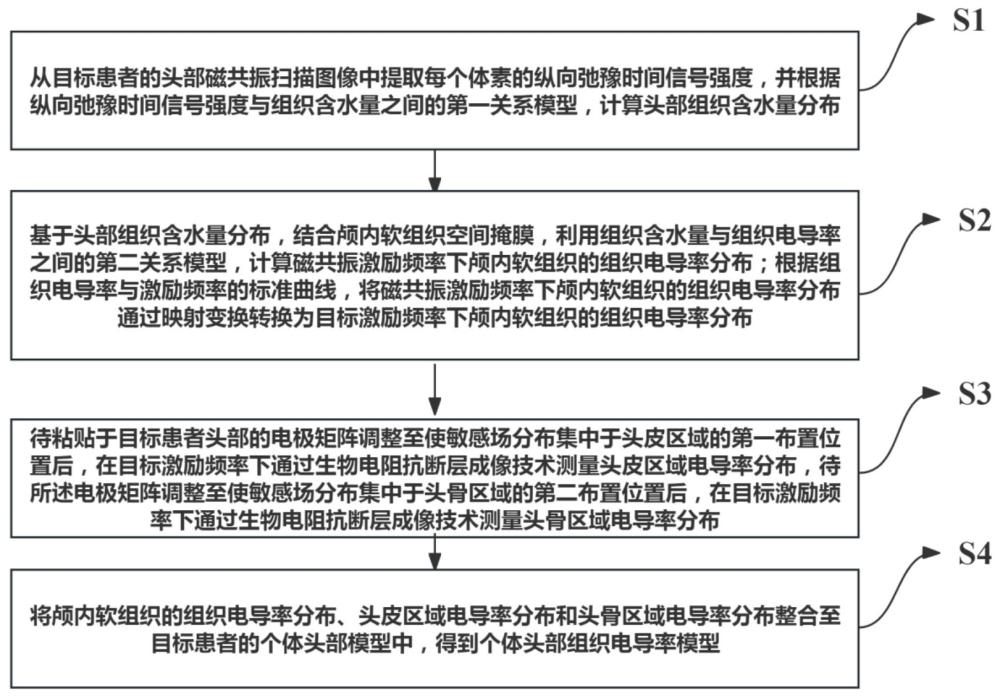 個體頭部組織電導(dǎo)率模型構(gòu)建方法及系統(tǒng)