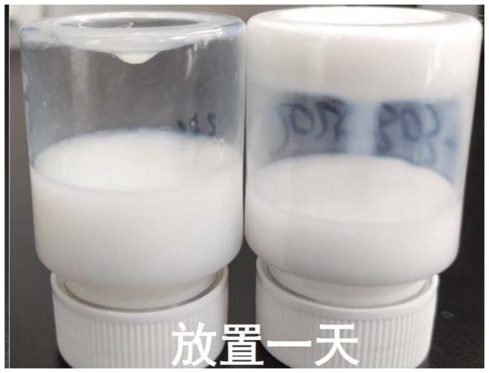 納米硅酸鈣晶核劑的超聲微流制備方法及其應用與流程