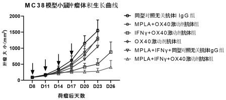 靶向髓系細胞進而增強OX40激動劑抗體藥效的藥物組合物的藥物組合物及其應用