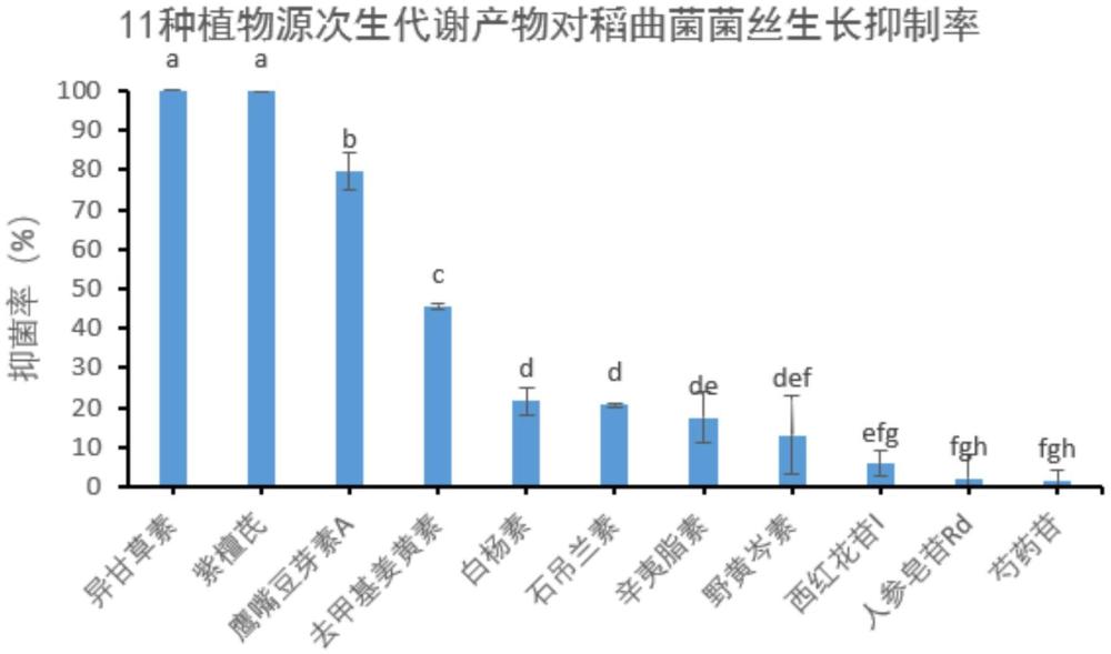 一種基于異甘草素的稻曲病植物源殺菌劑