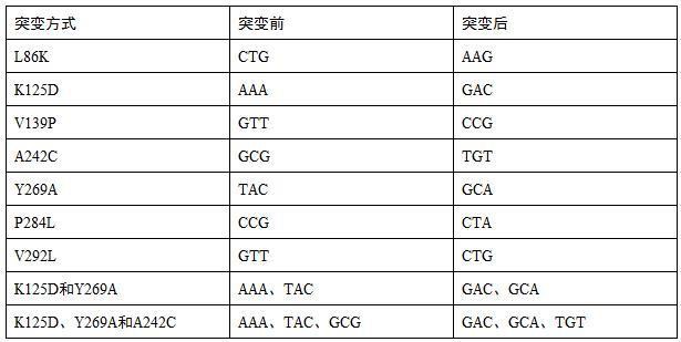 一種α-1,2-巖藻糖基轉移酶的突變體及其應用的制作方法