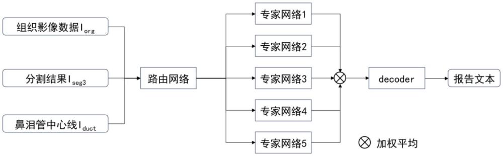 一種針對淚道造影CT的淚道分割及報告智能撰寫方法及其系統