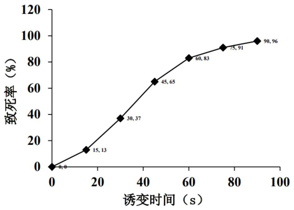 一株高產(chǎn)己二酸菌株及其篩選方法與應(yīng)用