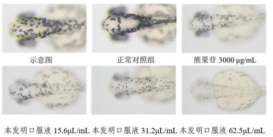 一種含N-乙酰神經氨酸的美白組合物及其應用的制作方法