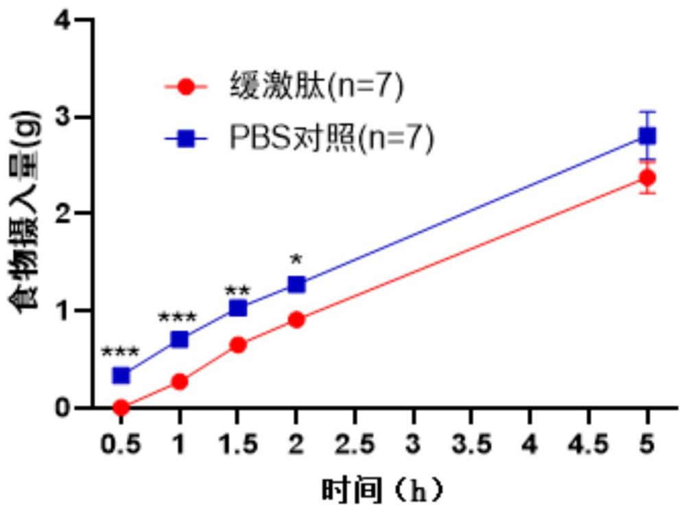 緩激肽作為制備用于降低進食量藥物的應用、藥物組合物