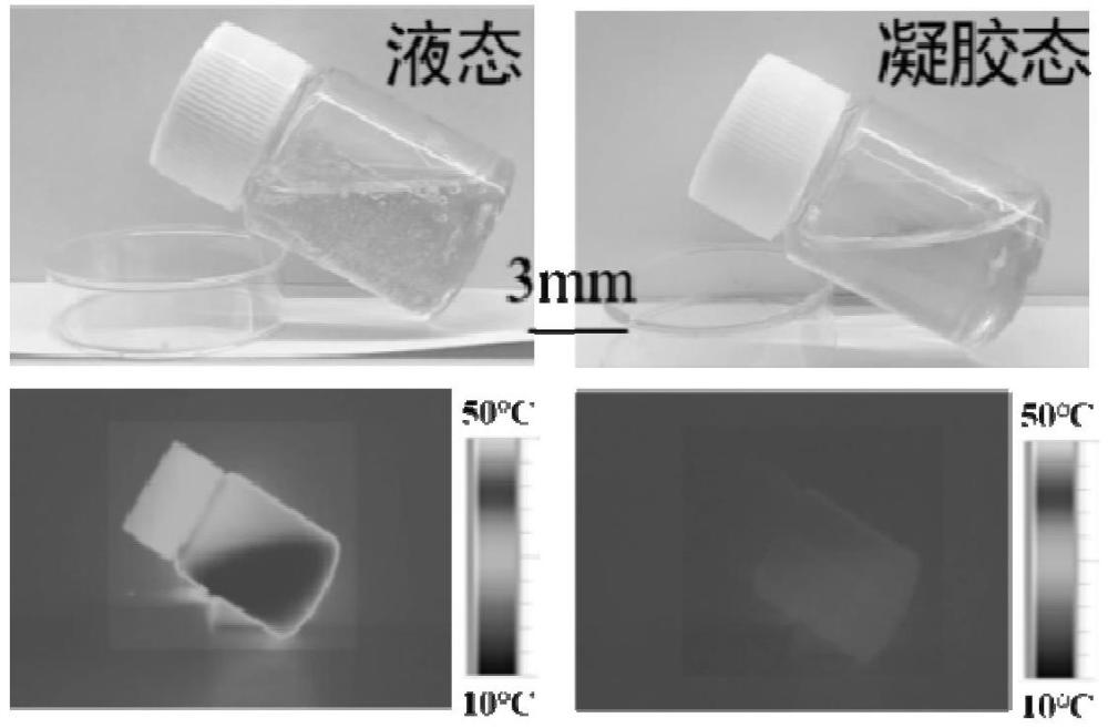 明膠/PVA基雙網絡結構水凝膠、柔性水凝膠電極、水凝膠-TENG傳感器及制備方法