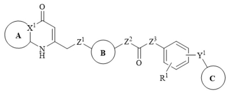 雙環(huán)雜芳基類BRAF負(fù)變構(gòu)調(diào)節(jié)劑及其制備方法與應(yīng)用與流程