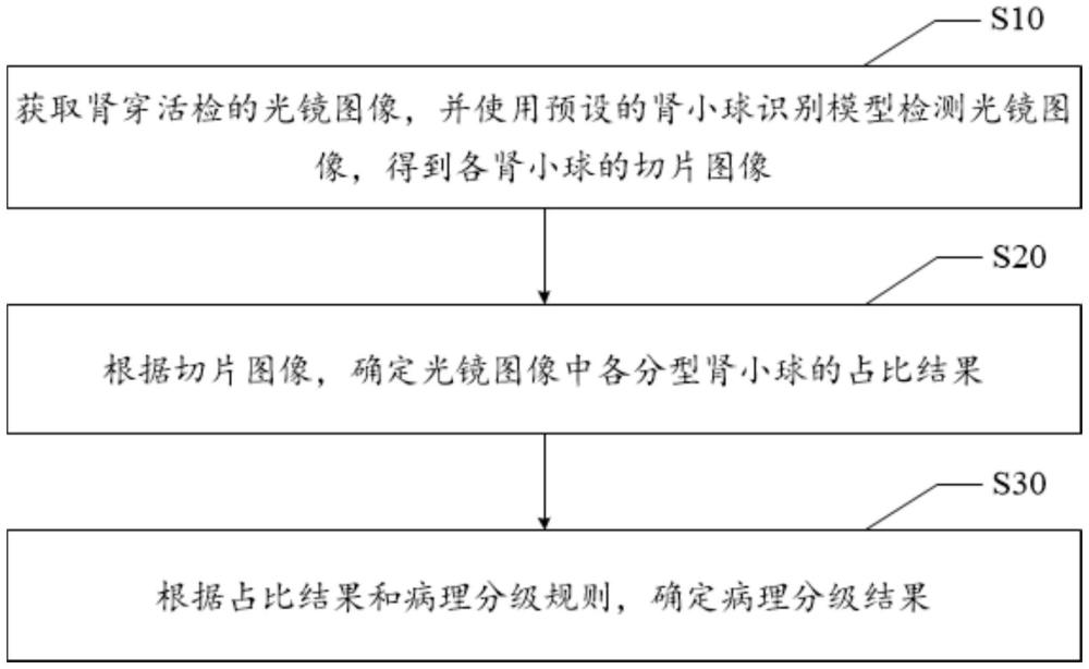 病理分級方法、設備、存儲介質及計算機程序產品