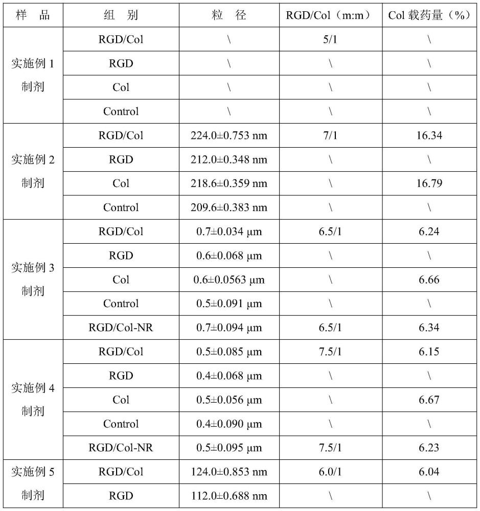 整合素靶向肽-膠原酶藥物組合的應用及其構建的藥物組合物