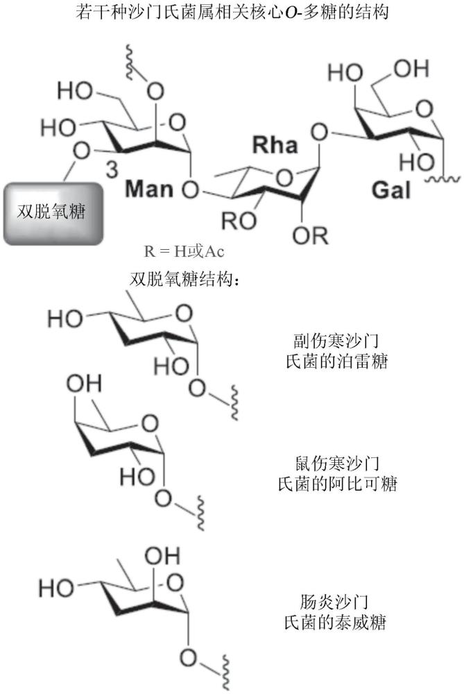 基于碳水化合物的抗沙門氏菌屬疫苗的研發