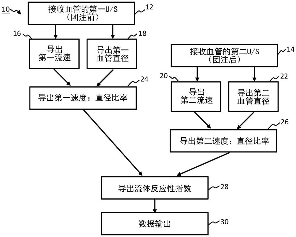 使用超聲數(shù)據(jù)的流體反應性的制作方法