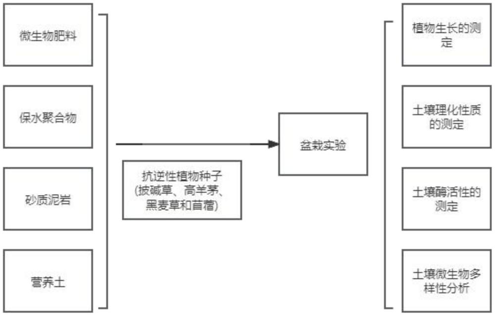 一種基于砂質泥巖棄渣熟化的土壤重構方法