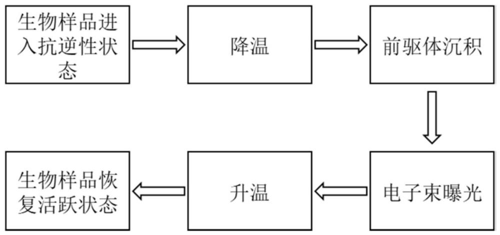 一種用于活體生物表面的微納加工方法