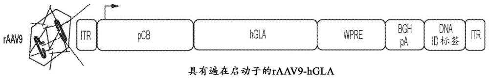 用于治療法布里病的組合物的制作方法